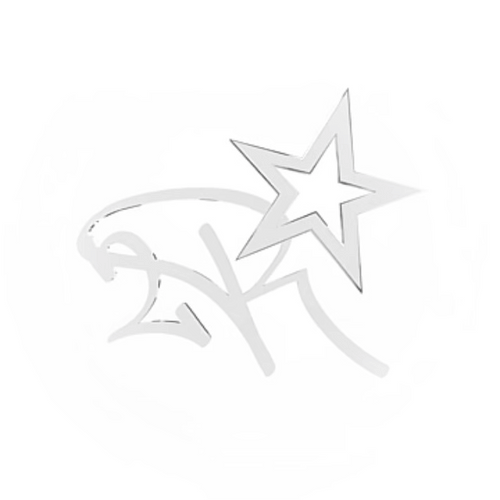 2RB Spinning Chrome Logo